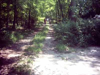 tabor_2008080301_04